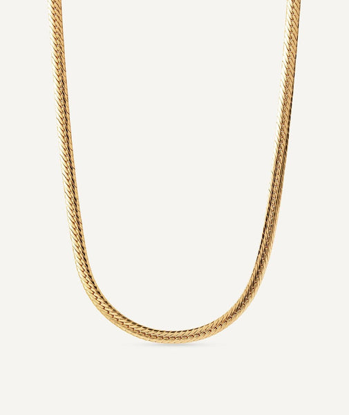 Collar Livy