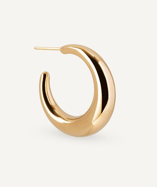 Zarcillos Hoop