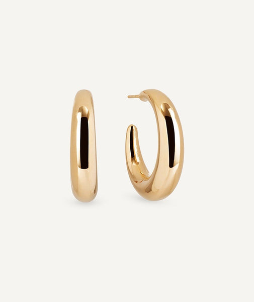 Zarcillos Hoop